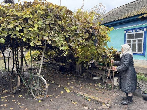 Подвір'я Ніни Бражник. Суспільне Суми