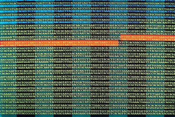 Фрагмент расшифровки генома человека