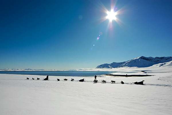 Переход на собачьих упряжках по побережью Норден-Фьорда — одно из главных развлечений на Шпицбергене с марта по июнь