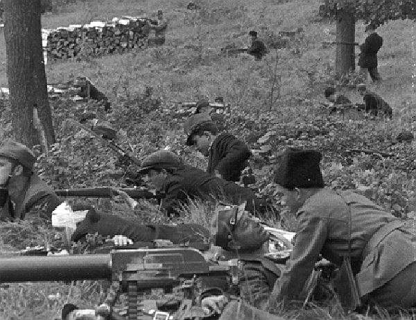 Солдаты армии Карпатской Украины