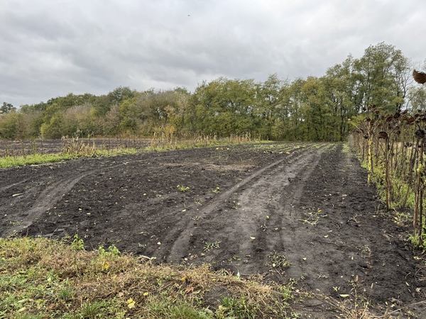Подвір'я Володимира Шпильки. Суспільне Суми