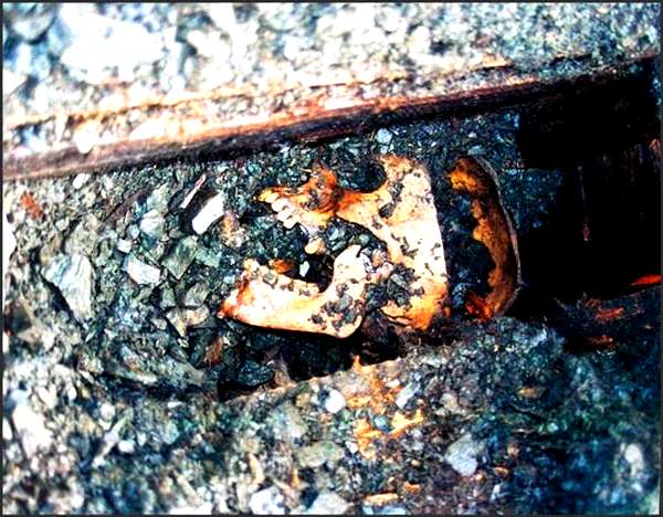 ГУЛАГ, Долина Смерти - обвинение СССР в опытах над людьми