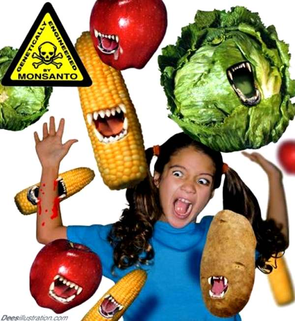 Сия картинка — буквально мёд на душу для тех дегенератов, которые всерьез полагают, будто генетическая модернизация картошки генами коровы приведет к отрастанию рогов у тех, кто эту картошку будет есть. В школе они что ли не учились?