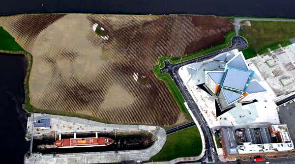 Портрет из 30000 колышков можно увидеть только с высоты