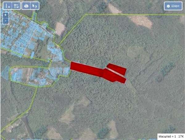 Улица Мошенников посреди леса. На ней 14 незаконных полученных участков