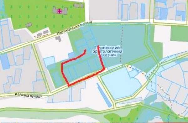 Красным обозначено место, где гнездились цапли. Сельсовет утверждает, что деревьев там не было