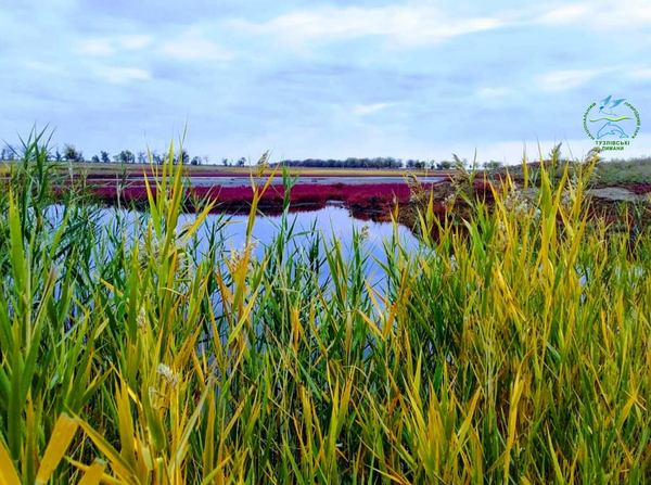 Національний природний парк «Тузлівські лимани»