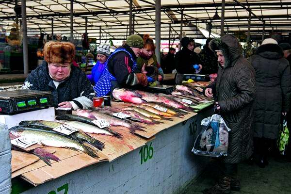 село Безыменное, Приазовье