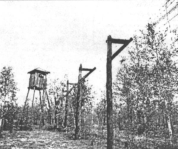 Строительство железной дороги Салехард — Игарка в 1947-1953 годах можно считать одним из самых утопических проектов ГУЛАГа.  