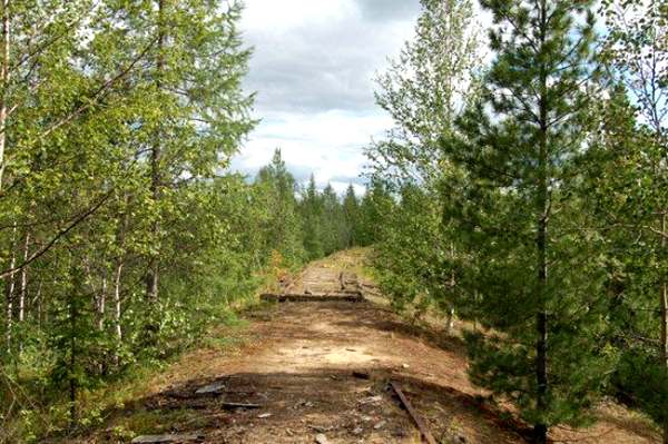 Строительство железной дороги Салехард — Игарка в 1947-1953 годах можно считать одним из самых утопических проектов ГУЛАГа.  