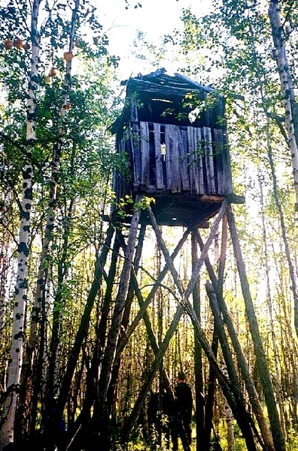 Строительство железной дороги Салехард — Игарка в 1947-1953 годах можно считать одним из самых утопических проектов ГУЛАГа.  