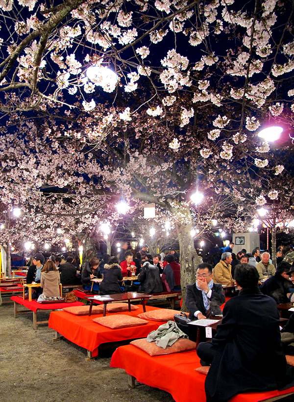 Тут же в многочисленных чайных домиках можновыпить чая и вкусно покушать под цветочной крышей.