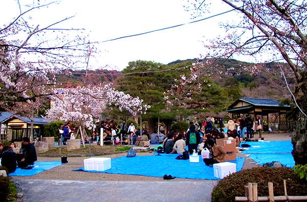 Тут же в многочисленных чайных домиках можновыпить чая и вкусно покушать под цветочной крышей.