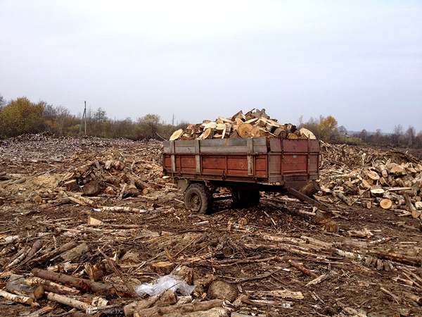 Телега чубариков. Две с половиной тысячи рублей Дмитрий Соколов-Митрич