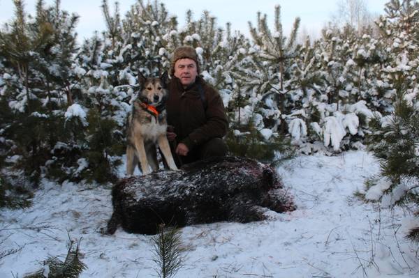 Володимир Забела