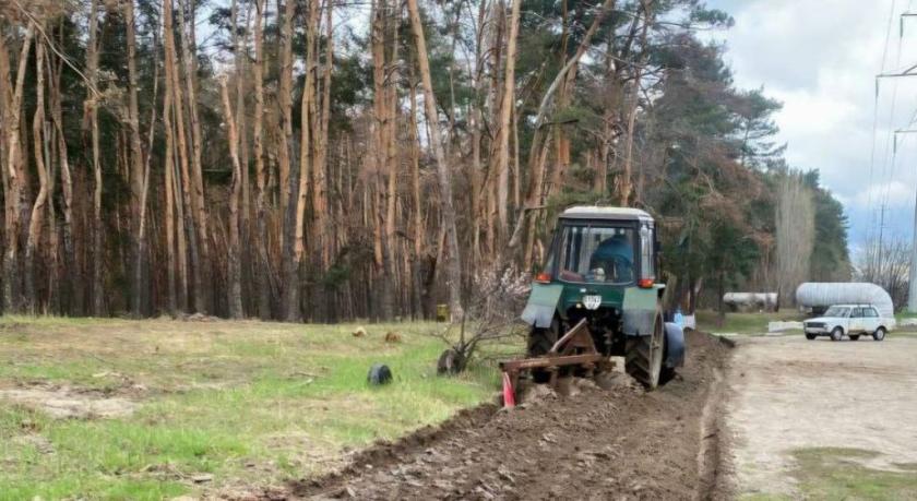 Мінералізовані полоси біля Григорівського бору могли пошкодити корені сосен. Фото: Харківська міськрада